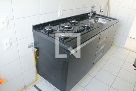 Cozinha - Armários de apartamento para alugar com 3 quartos, 57m² em Jardim Jasmim, Nova Iguaçu