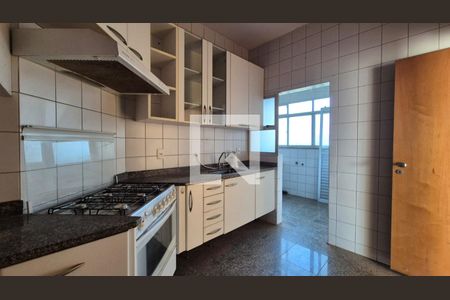 Cozinha de apartamento para alugar com 3 quartos, 100m² em Belvedere, Belo Horizonte