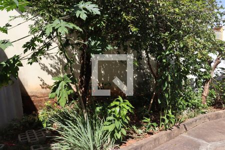 Quintal de casa à venda com 3 quartos, 481m² em Jardim América, Goiânia