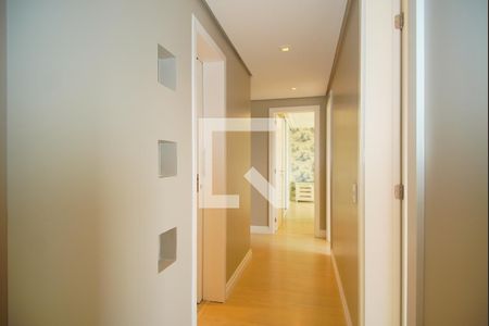 Corredor - Quartos de apartamento para alugar com 3 quartos, 88m² em Vila Ipiranga, Porto Alegre