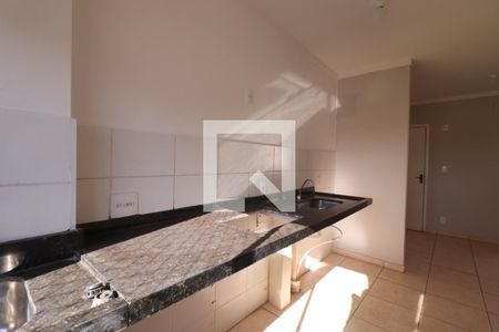 Cozinha de apartamento para alugar com 2 quartos, 60m² em Jardim Santa Cecilia - Bonfim Paulista, Ribeirão Preto