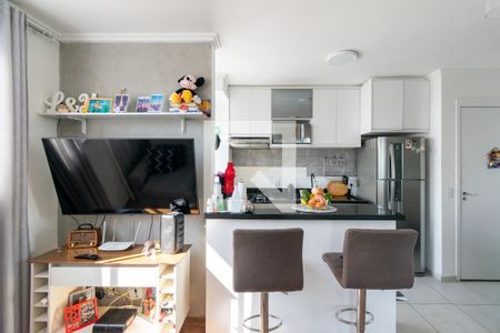 Sala de apartamento para alugar com 2 quartos, 40m² em Vila Santa Catarina, São Paulo
