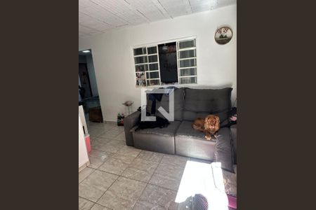 Sala de kitnet/studio para alugar com 2 quartos, 50m² em Sagrada Família, Belo Horizonte