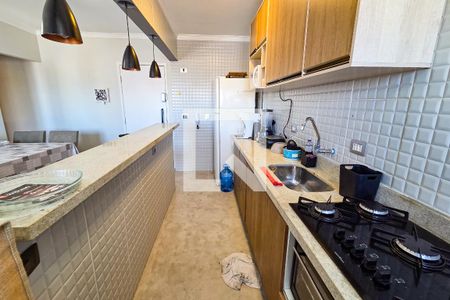 Cozinha de apartamento para alugar com 1 quarto, 38m² em Cidade Ocian, Praia Grande