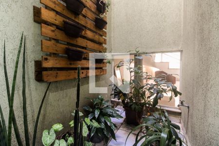 Sala - Jardim de Inverno  de casa à venda com 3 quartos, 120m² em Vila Carrão, São Paulo