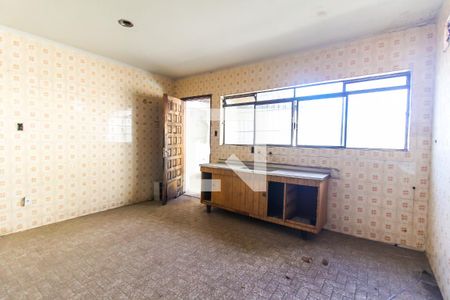 Cozinha de casa para alugar com 3 quartos, 250m² em Jardim Itapemirim, São Paulo