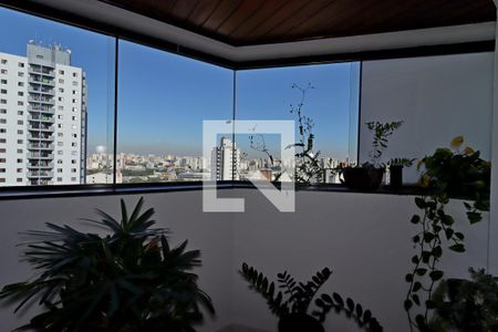Varanda da Sala de apartamento para alugar com 3 quartos, 150m² em Vila Curuçá, Santo André