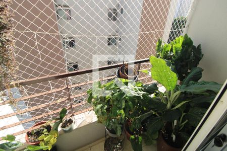 Sala - Varanda de apartamento à venda com 2 quartos, 47m² em Vila Amélia, São Paulo