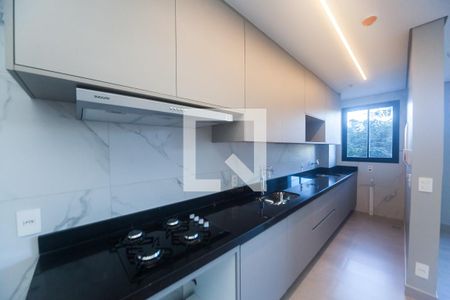 Cozinha/Área de serviço de apartamento para alugar com 2 quartos, 66m² em Vale do Sereno, Nova Lima