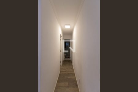 Corredor de apartamento para alugar com 2 quartos, 47m² em Parque Vitoria, São Paulo