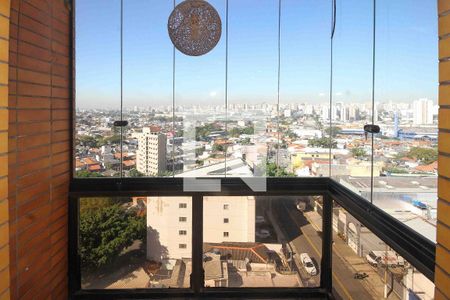 Apartamento à venda com 3 quartos, 110m² em Vila Bela, São Paulo