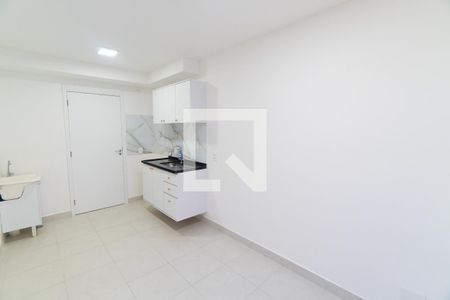 Sala/Cozinha de apartamento para alugar com 1 quarto, 30m² em Planalto Paulista, São Paulo