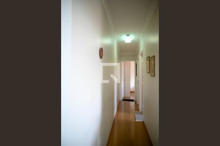 Corredor de apartamento para alugar com 2 quartos, 55m² em Sacomã, São Paulo