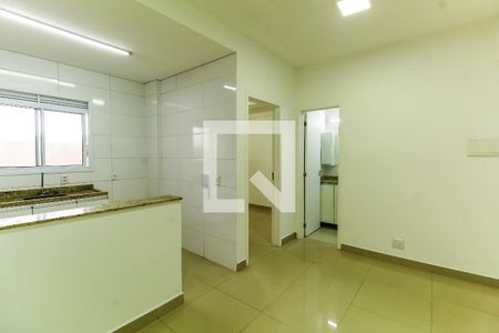 Sala/Cozinha de apartamento para alugar com 1 quarto, 30m² em Catumbi, São Paulo