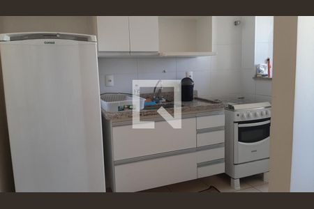 Cozinha de apartamento para alugar com 1 quarto, 40m² em Jardim Nova Alianca, Ribeirão Preto