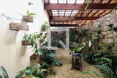 Jardim de Inverno Sala 02 de casa para alugar com 5 quartos, 870m² em Vila Santo Antônio, Cotia