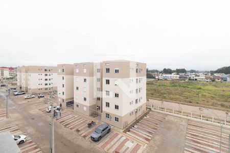 Vista da Sala/Quarto de apartamento para alugar com 1 quarto, 24m² em Hípica, Porto Alegre