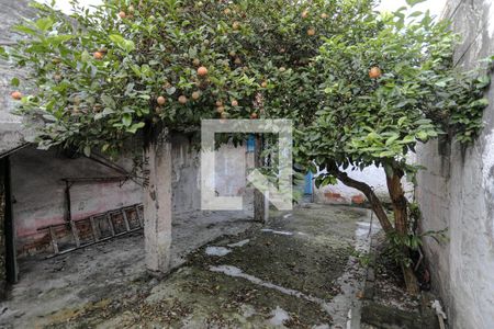 Quintal de casa para alugar com 3 quartos, 70m² em Vila Industrial, Mogi das Cruzes