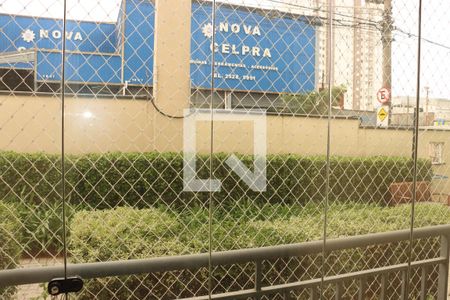 Apartamento à venda com 2 quartos, 49m² em Vila Antonieta, São Paulo
