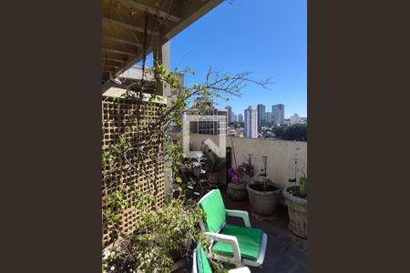 SACADA de apartamento à venda com 4 quartos, 220m² em Cambuí, Campinas