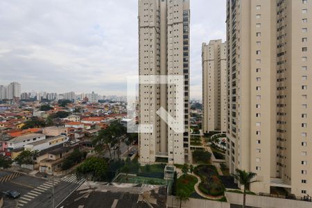 Vista da Varanda da Sala de apartamento para alugar com 2 quartos, 62m² em Vila Sonia, São Paulo