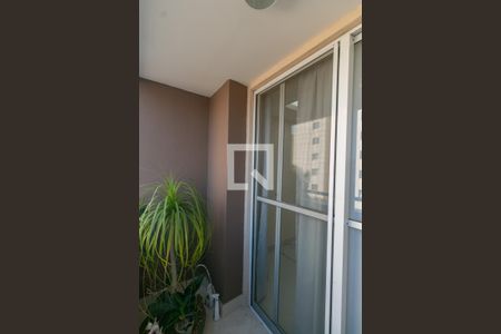 Apartamento para alugar com 3 quartos, 70m² em Castelo, Belo Horizonte