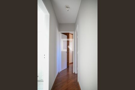 Corredor de apartamento para alugar com 2 quartos, 50m² em Sacoma, São Paulo