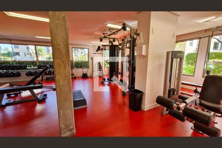 Apartamento para alugar com 2 quartos, 70m² em Usina Piratininga, São Paulo