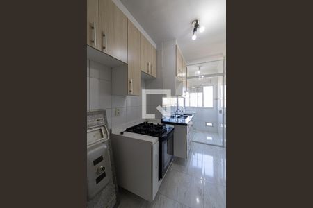 Cozinha e Área de Serviço de apartamento para alugar com 2 quartos, 52m² em Jardim Santo Antonio, São Paulo