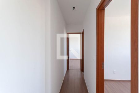 Corredor de apartamento para alugar com 2 quartos, 50m² em Vila Boa Vista, Belo Horizonte