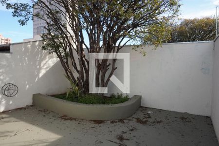 Quintal de casa para alugar com 1 quarto, 90m² em Jardim Ricetti, São Carlos