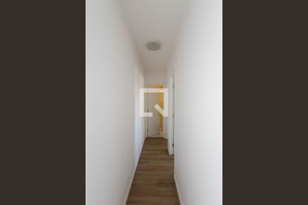 Corredor de apartamento para alugar com 2 quartos, 47m² em Parque Vitoria, São Paulo