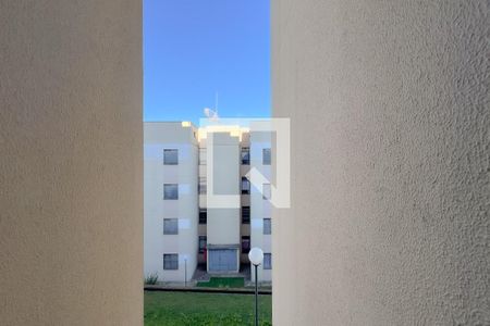 Apartamento à venda com 2 quartos, 49m² em Nova Espírito Santo, Valinhos