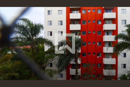 Vista Quarto 1 de apartamento para alugar com 3 quartos, 76m² em Horto do Ype, São Paulo