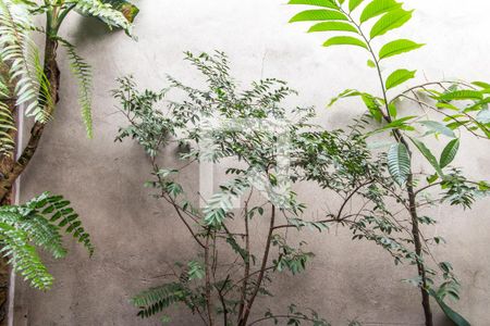 Vista da Sala de casa à venda com 1 quarto, 125m² em Nova Aldeinha, Barueri