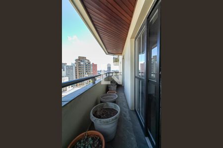 Varanda da Sala de apartamento à venda com 4 quartos, 350m² em Nova Petrópolis, São Bernardo do Campo