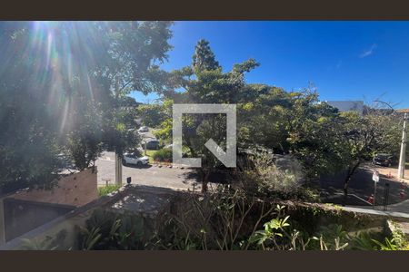 Apartamento à venda com 4 quartos, 243m² em Jardim das Paineiras, Campinas