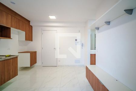 Sala/Cozinha de apartamento para alugar com 1 quarto, 35m² em Instituto de Previdencia, São Paulo