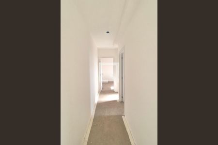 Corredor de apartamento à venda com 2 quartos, 43m² em Jardim Ipaussurama, Campinas