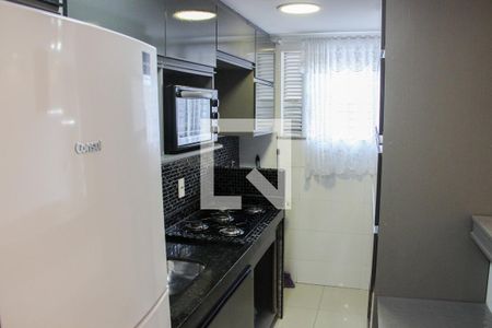 Cozinha - Armários de apartamento para alugar com 2 quartos, 110m² em Braga, Cabo Frio