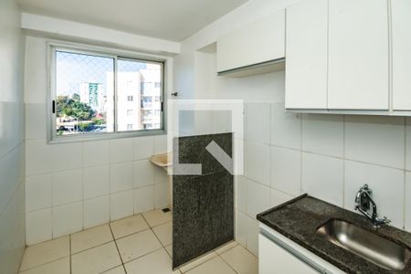 Cozinha de apartamento para alugar com 2 quartos, 50m² em Santa Branca, Belo Horizonte