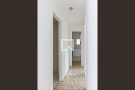 Corredor de apartamento para alugar com 2 quartos, 60m² em Vila Pirituba, São Paulo