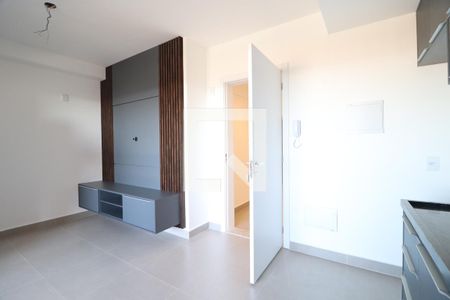 Sala/Cozinha de apartamento para alugar com 1 quarto, 44m² em Granja Marileusa, Uberlândia