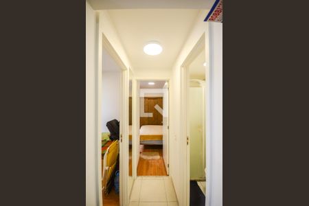Corredor de apartamento para alugar com 2 quartos, 35m² em Jardim Iris, São Paulo