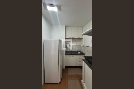 Cozinha de apartamento para alugar com 1 quarto, 29m² em Santo Amaro, São Paulo