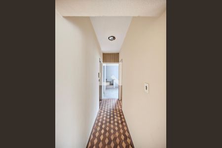 Corredor - Quartos de casa para alugar com 3 quartos, 200m² em Parque Edu Chaves, São Paulo