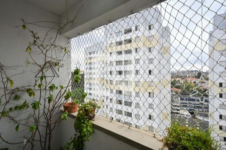 Varanda de apartamento para alugar com 2 quartos, 54m² em Chacara Nossa Senhora do Bom Conselho, São Paulo