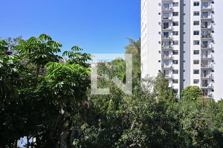 Vista do Quarto 1 de apartamento para alugar com 2 quartos, 52m² em Jardim Umarizal, São Paulo