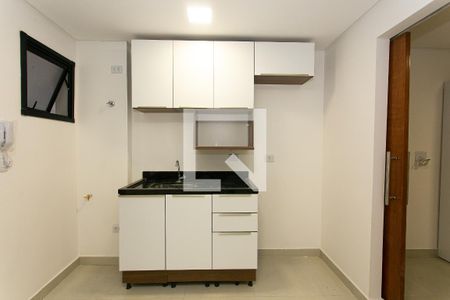Cozinha de apartamento para alugar com 1 quarto, 30m² em Cidade Mãe do Céu, São Paulo