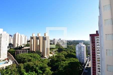 Sala - Vista de apartamento para alugar com 3 quartos, 70m² em Chácara Primavera, Campinas